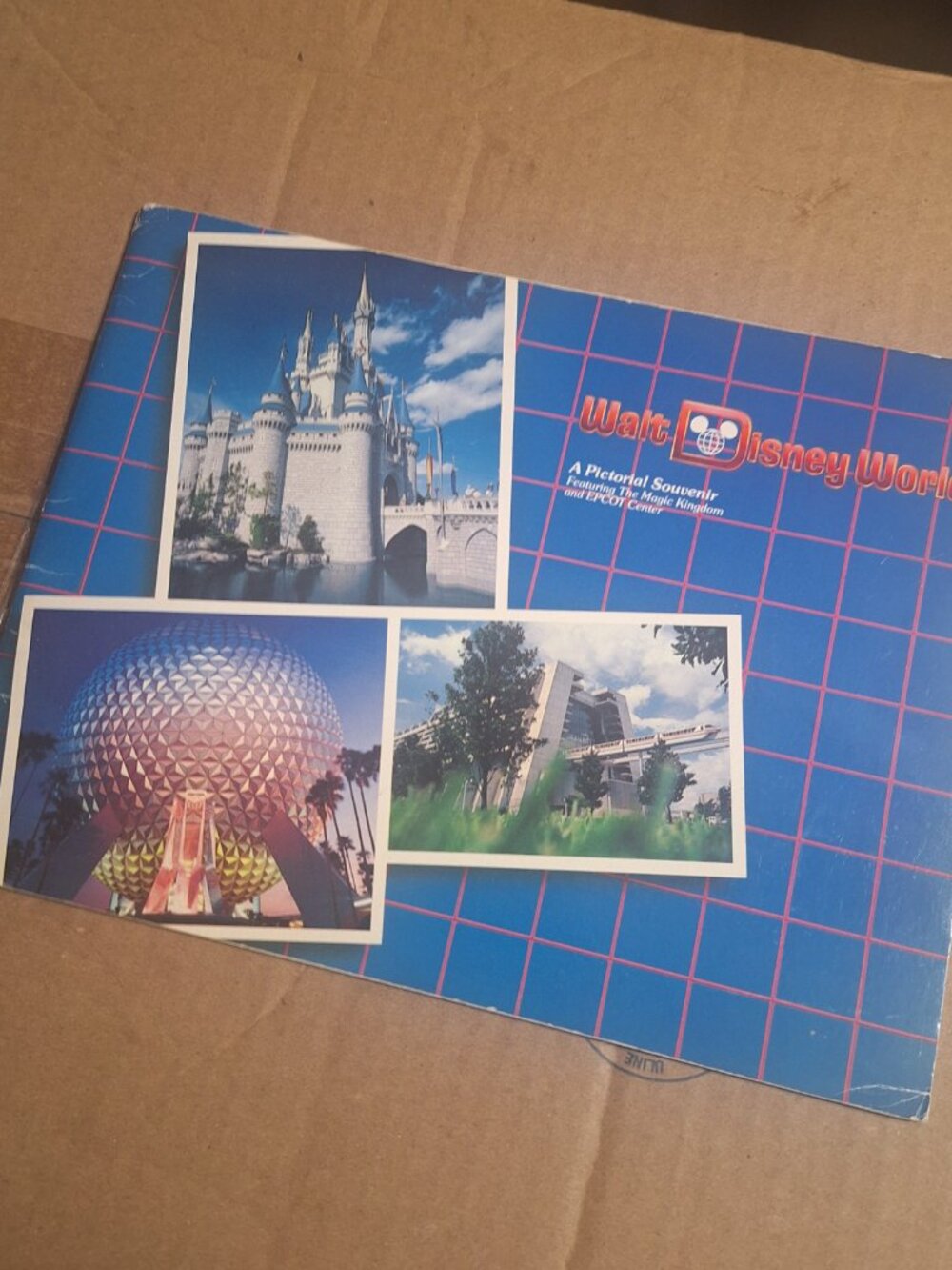 walt disney world book